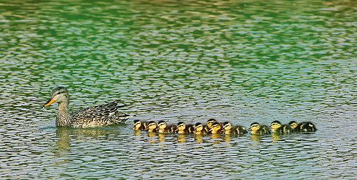 《原子之心》官方回应立场质疑：全球团队专注游戏